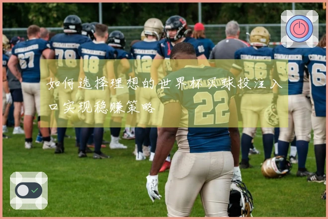 如何选择理想的世界杯买球投注入口实现稳赚策略