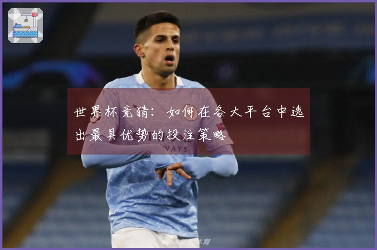 世界杯竞猜：如何在各大平台中选出最具优势的投注策略