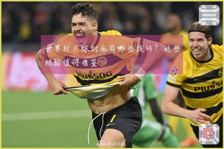 世界杯买球到底有哪些技巧？这些经验值得借鉴