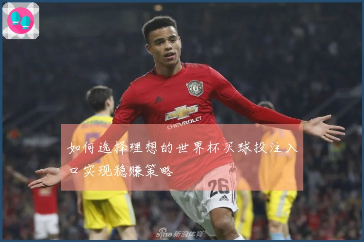 如何选择理想的世界杯买球投注入口实现稳赚策略