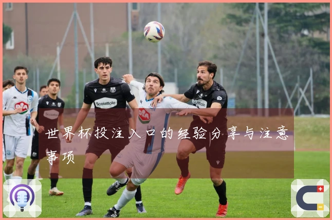 世界杯投注入口的经验分享与注意事项