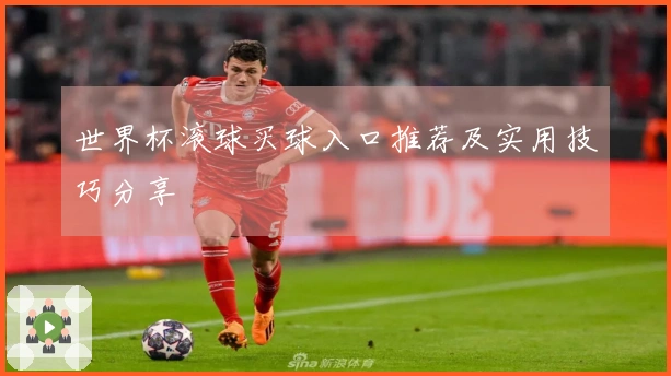 世界杯滚球买球入口推荐及实用技巧分享