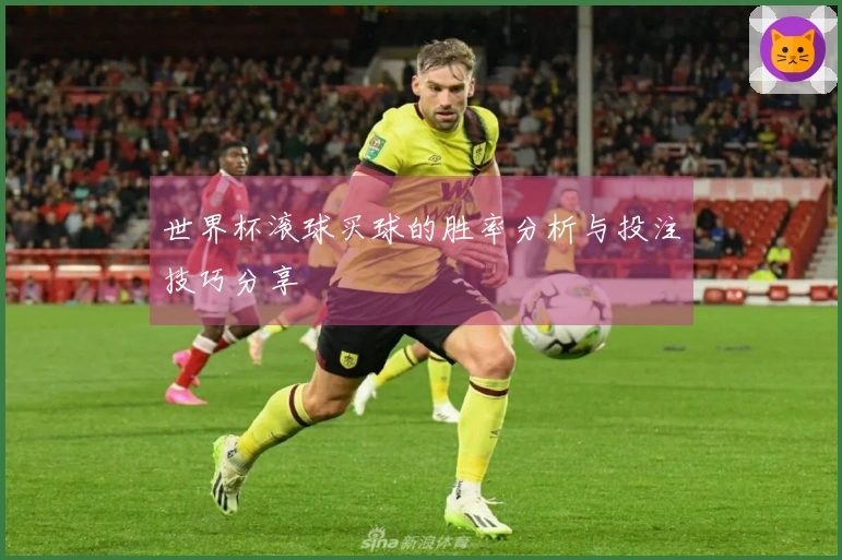 世界杯滚球买球的胜率分析与投注技巧分享