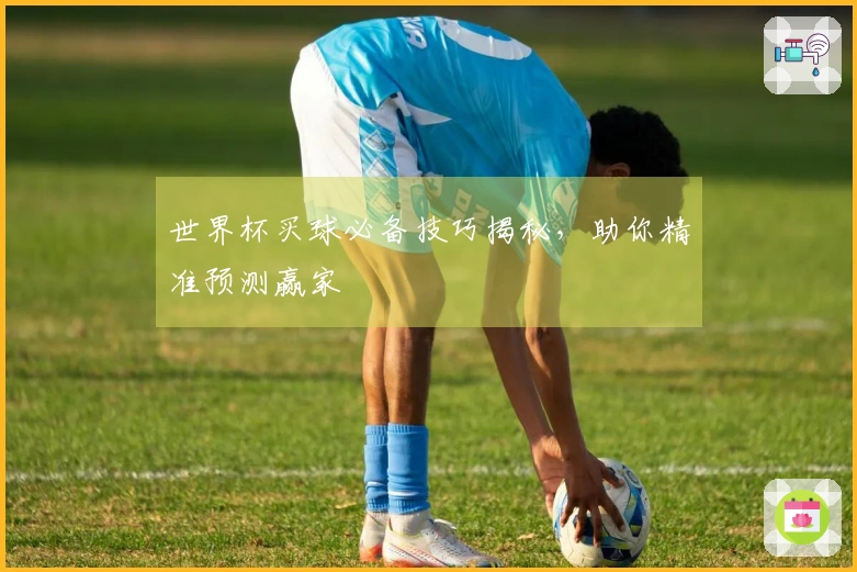 世界杯买球必备技巧揭秘，助你精准预测赢家