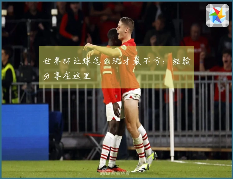 世界杯让球怎么玩才最不亏，经验分享在这里