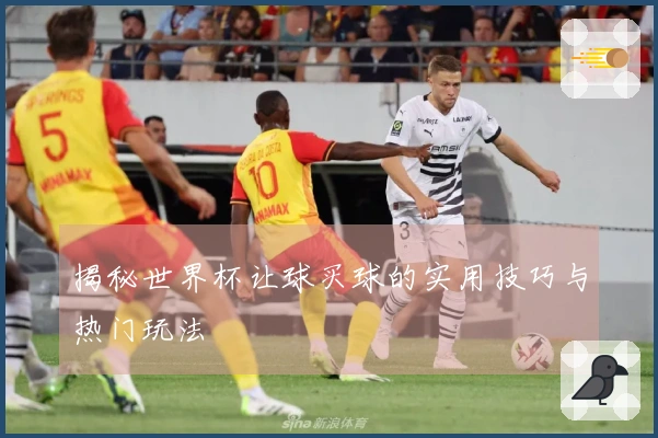 揭秘世界杯让球买球的实用技巧与热门玩法