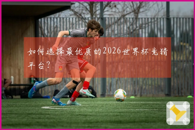 如何选择最优质的2026世界杯竞猜平台？