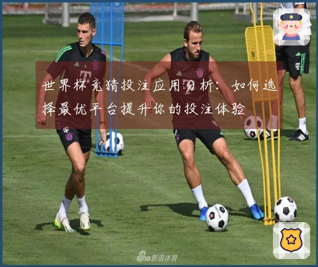 世界杯竞猜投注应用分析：如何选择最优平台提升你的投注体验