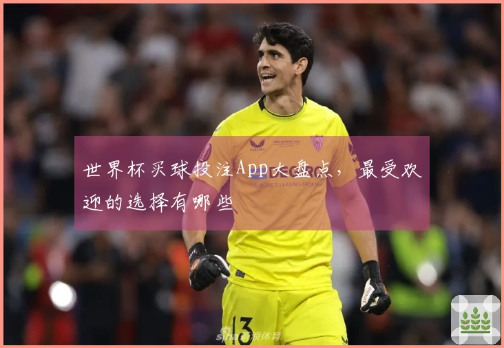 世界杯买球投注App大盘点，最受欢迎的选择有哪些