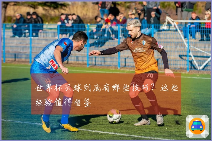 世界杯买球到底有哪些技巧？这些经验值得借鉴