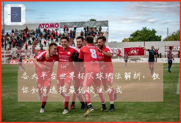 各大平台世界杯买球玩法解析，教你如何选择最优投注方式