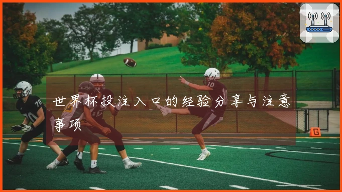 世界杯投注入口的经验分享与注意事项