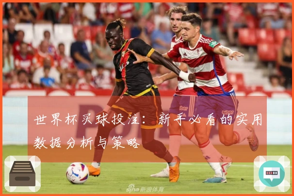 世界杯买球投注：新手必看的实用数据分析与策略