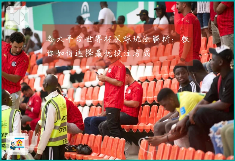 各大平台世界杯买球玩法解析，教你如何选择最优投注方式